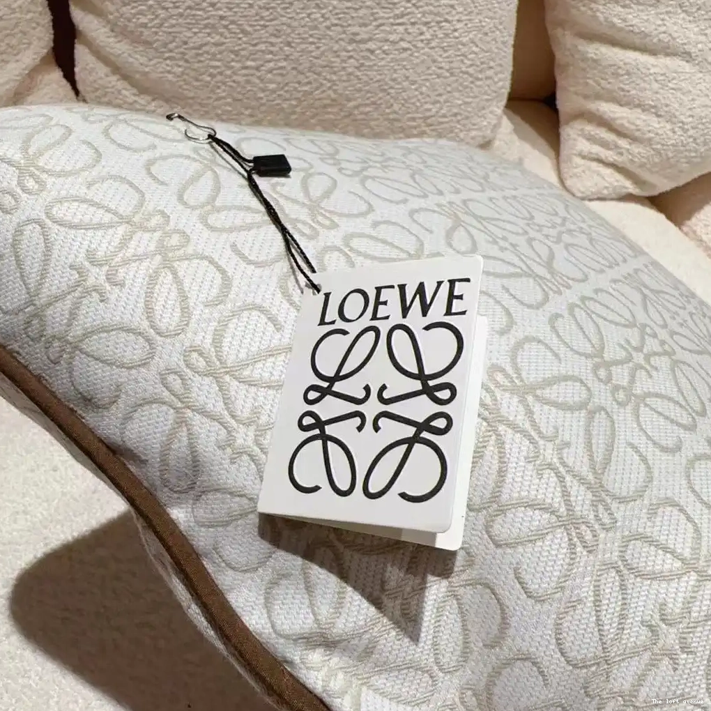 THROW LOEWE PILLOW 0608